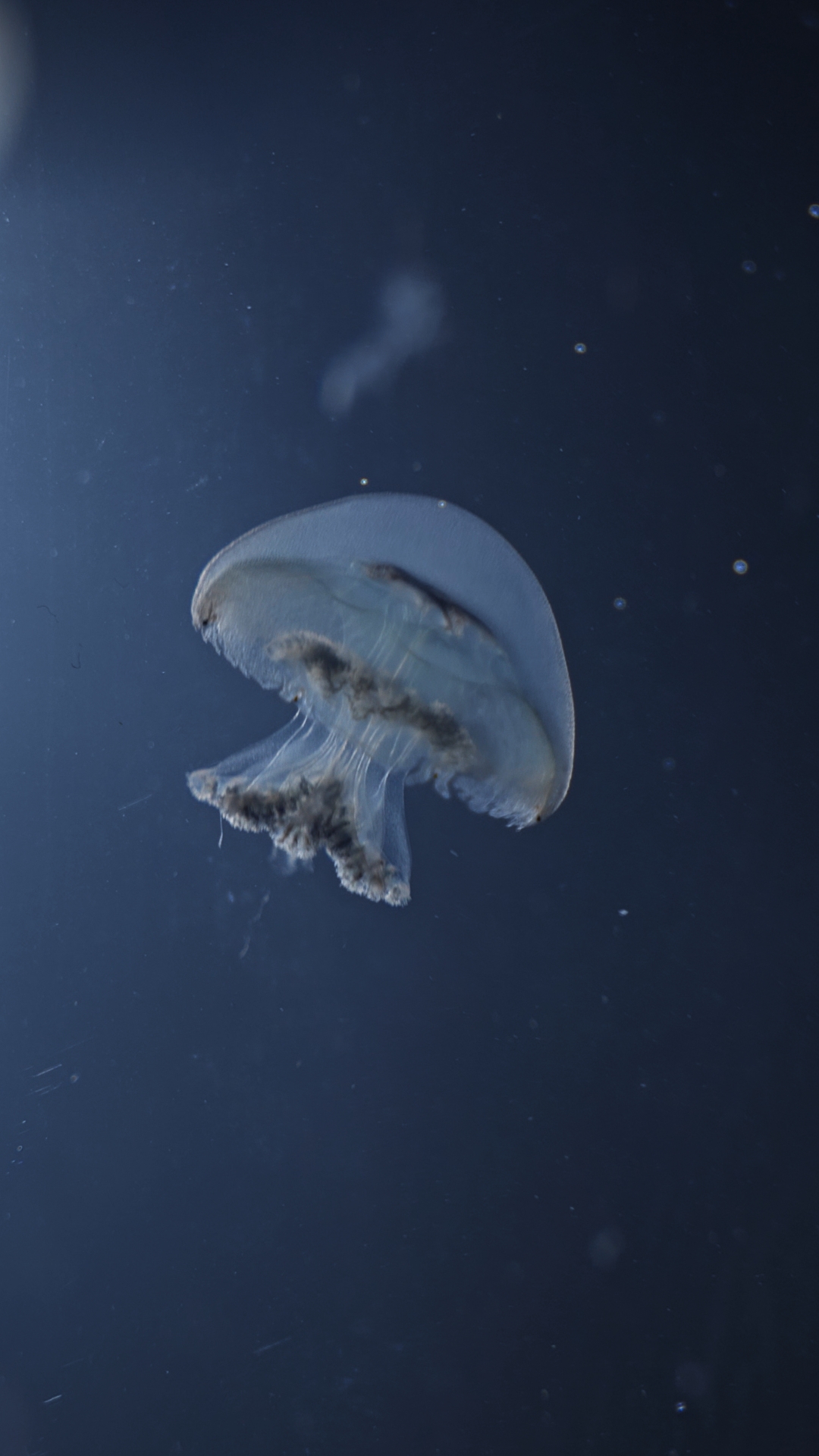 Blue Cannonball - Ocean's Clouds